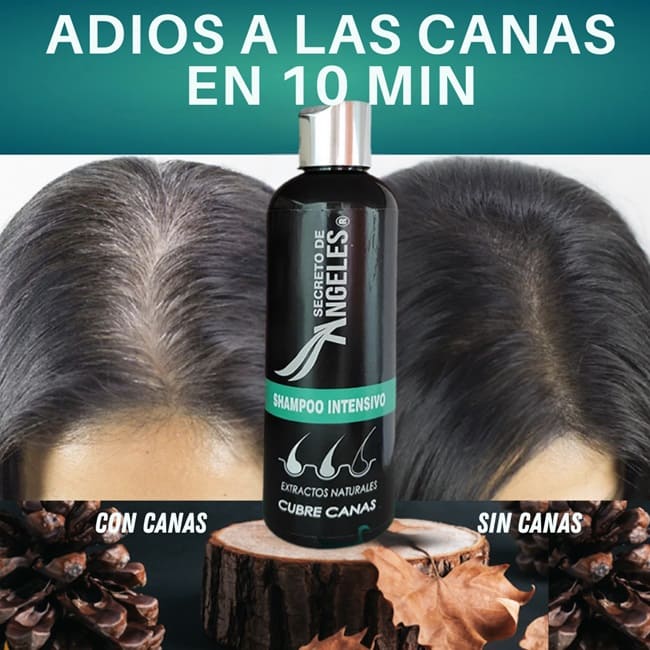 SHAMPOO CUBRE CANAS SECRETO ANGELES