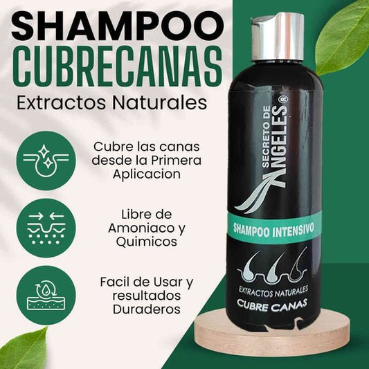 SHAMPOO CUBRE CANAS SECRETO ANGELES
