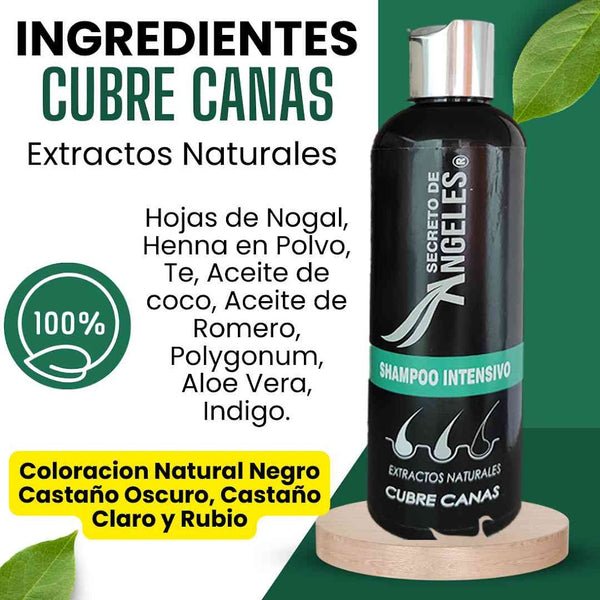 SHAMPOO CUBRE CANAS SECRETO ANGELES