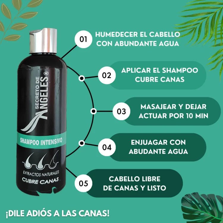 SHAMPOO CUBRE CANAS SECRETO ANGELES