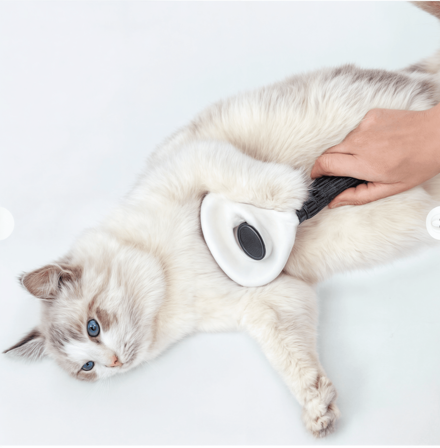 Cepillo Para Mascotas FurBop