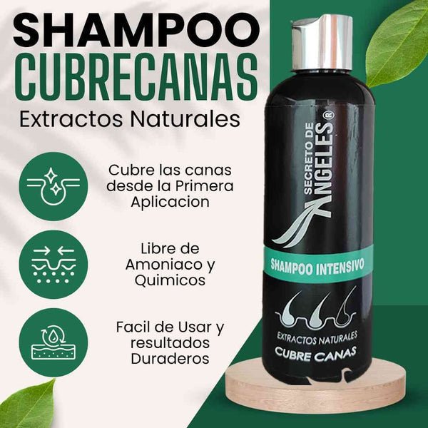 SHAMPOO CUBRE CANAS SECRETO ANGELES