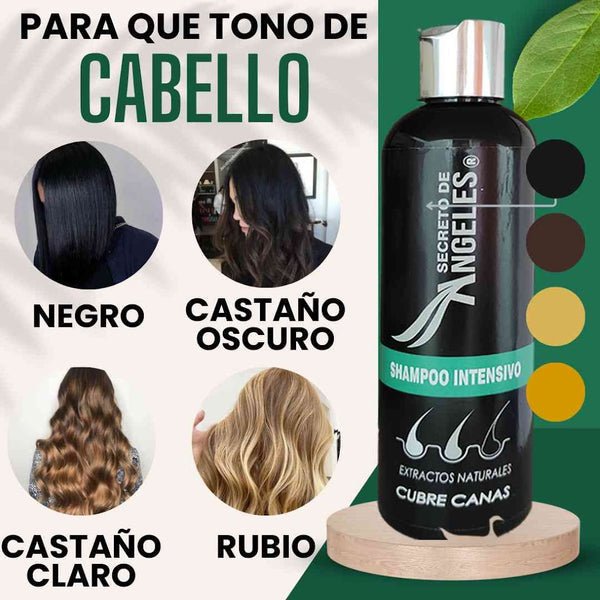 SHAMPOO CUBRE CANAS SECRETO ANGELES